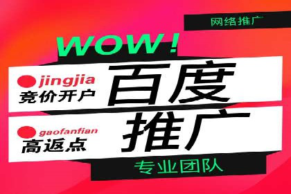 某某SEM服务公司成功案例：提升品牌曝光度